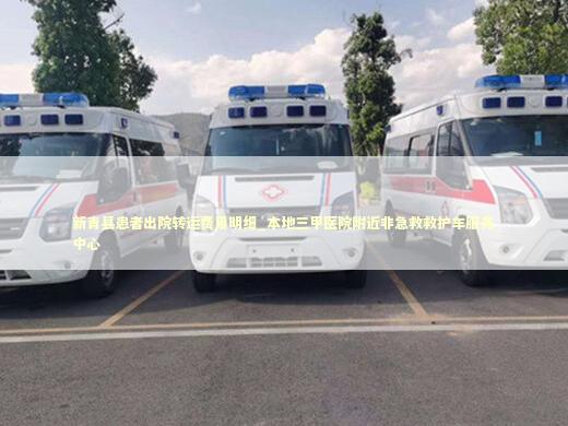 新青县患者出院转运费用明细_本地三甲医院附近非急救救护车服务中心
